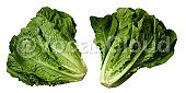 romaine lettuce Image